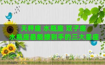 天秤座 水瓶座 双子座 水瓶座最能撩到手的三大星座